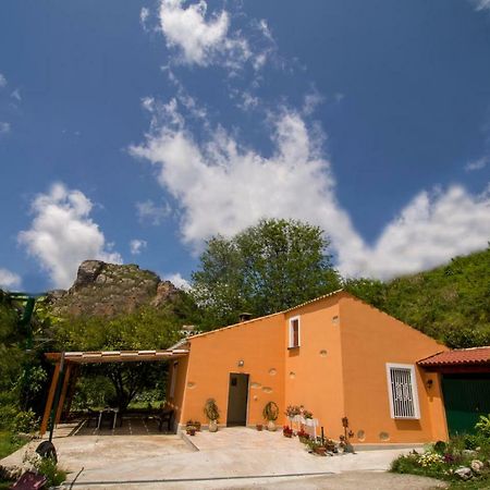 B&B Casa Vacanze Benvenuti Al Sud 아이엘로 칼라브로 외부 사진