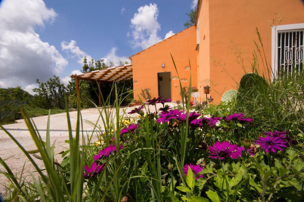 B&B Casa Vacanze Benvenuti Al Sud 아이엘로 칼라브로 외부 사진